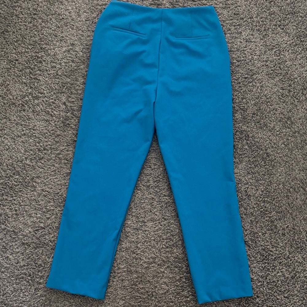 Blue Straight-Leg Pants - Picture 4 of 4